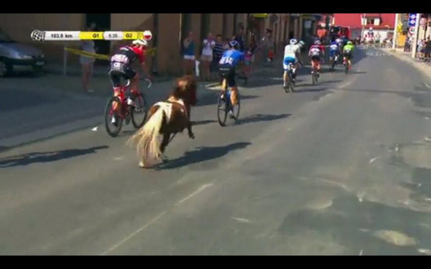 pony tour of poland